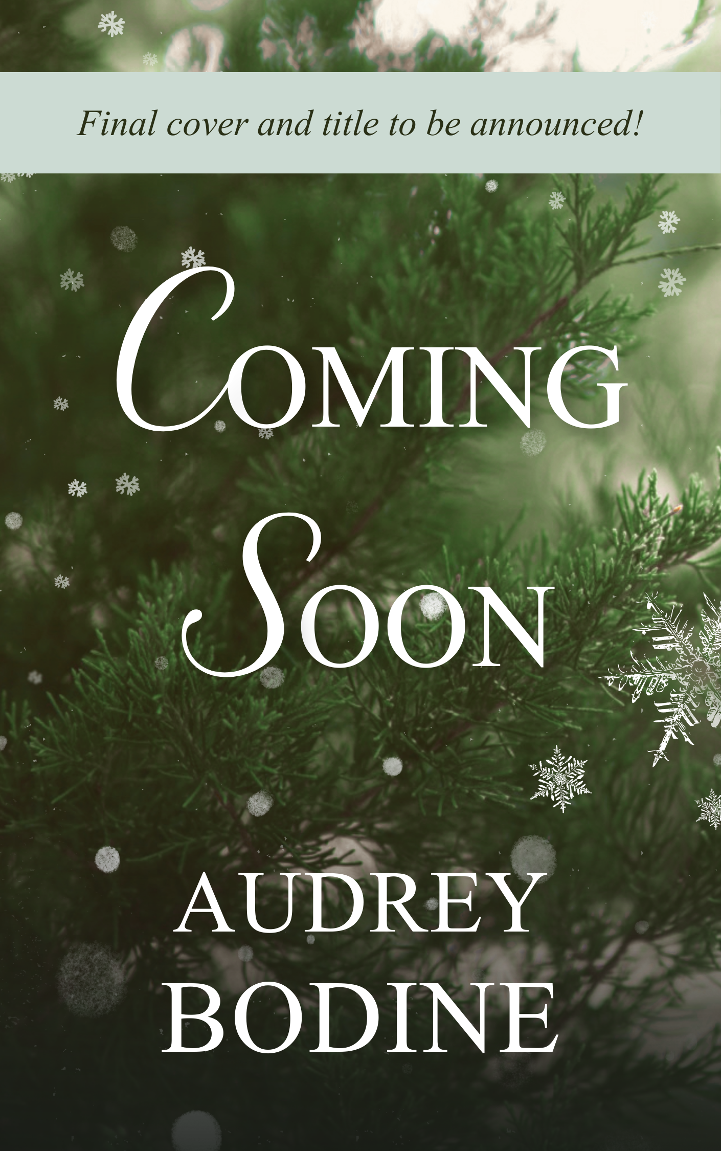 temporary book cover